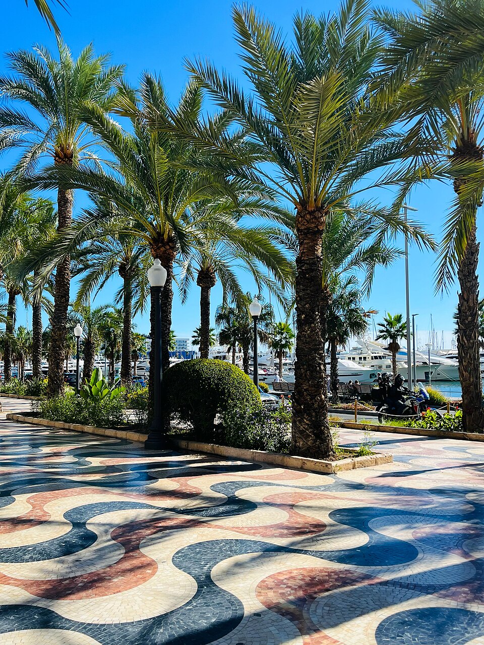 Palmiers et mosaïques de la promenade Explanada de España à Alicante