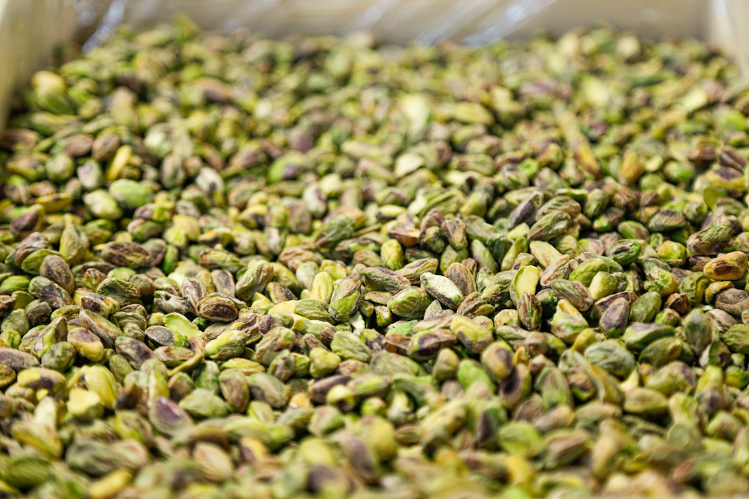 Pistachos naturales con cáscara que pueden venderse en diferentes calibres y presentaciones