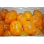 limones-gratinados