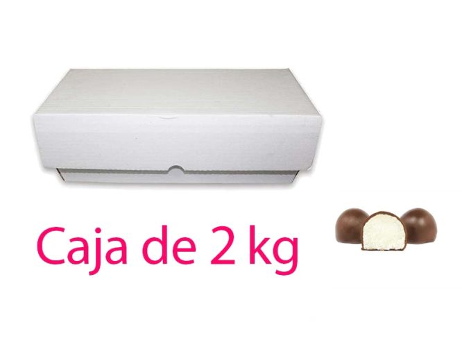 Coconut and chocolate balls in bulk - 2KG